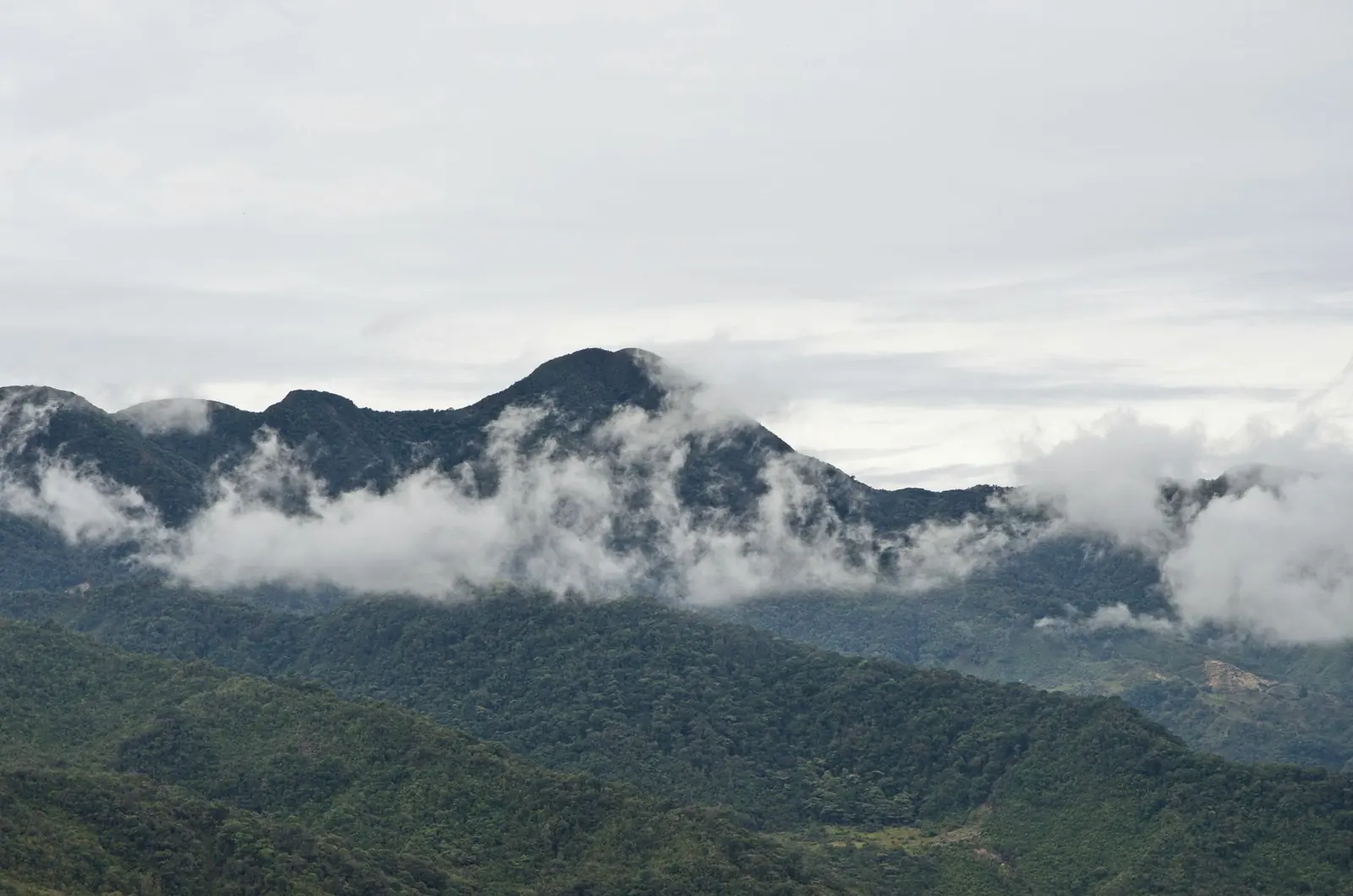 Montañas con niebla en Sonsón, Antioquia